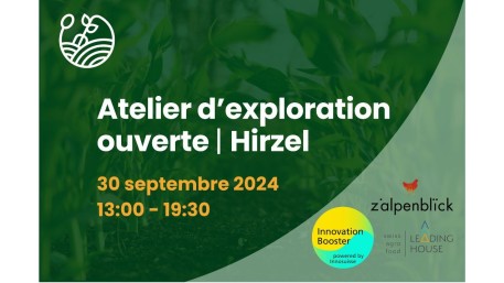 Open Exploration Workshop in Hirzel