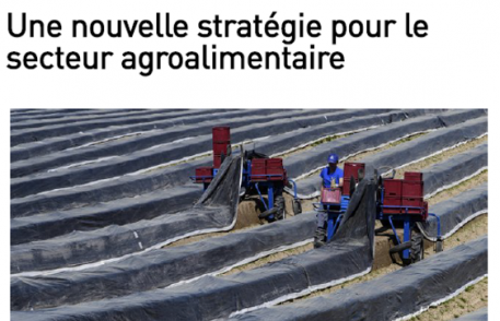 la liberté : Une nouvelle stratégie pour le secteur agroalimentaire la liberté : Une nouvelle stratégie pour le secteur agroalimentaire