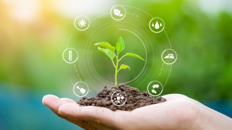 Diversification agricole, pollution plastique et innovation technologique: penser autrement les systèmes alimentaires