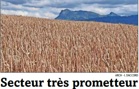 la gruyère : Fribourg mise gros sur son secteur agroalimentaire