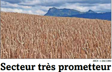 la gruyère : Fribourg mise gros sur son secteur agroalimentaire la gruyère : Fribourg mise gros sur son secteur agroalimentaire