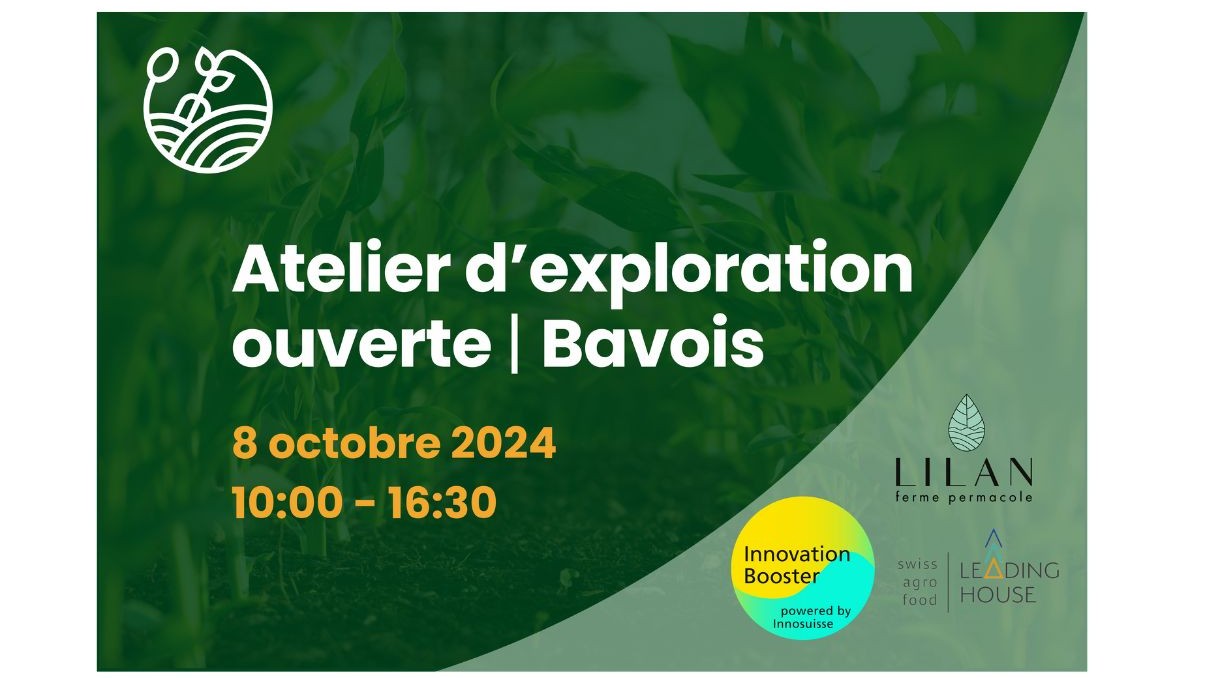 Open Exploration Workshop in Bavois