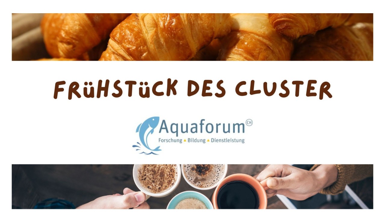 Frühstück bei Aquaforum