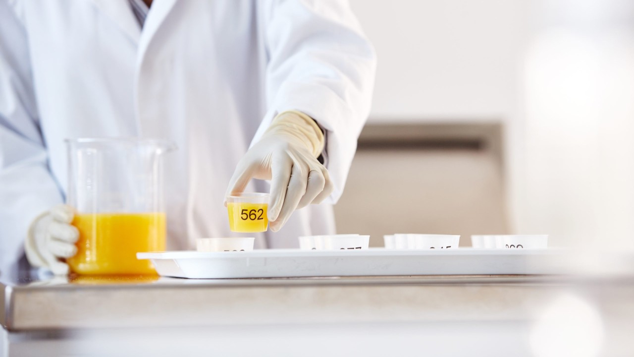 L'atelier : Développez vos compétences en analyse sensorielle pour assurer la qualité de vos produits