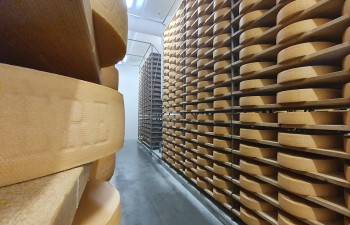Association des Artisans fromagers romands (AFR) Association des Artisans fromagers romands (AFR)