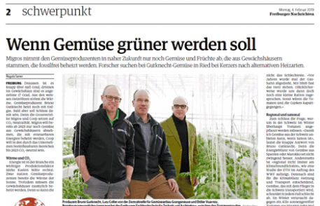 Freiburger nachrichten: wenn gemüse grüner werden soll Freiburger nachrichten: wenn gemüse grüner werden soll