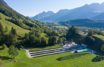 Pisciculture de la Gruyère