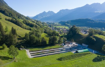 Pisciculture de la Gruyère Pisciculture de la Gruyère