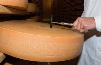 Fromage Gruyère SA Fromage Gruyère SA