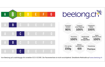 Beelong Beelong