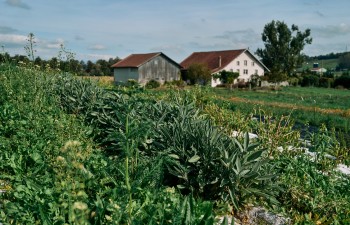 Ferme de Lilan