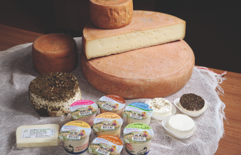 Pastourelle Le Véritable Pastourelle Le Véritable