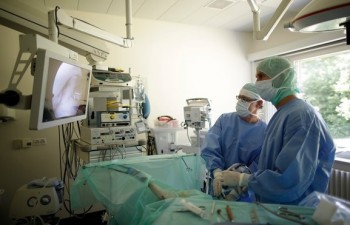 Vetsuisse Fakultät Vetsuisse Fakultät