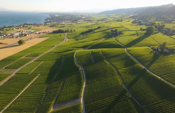 Swiss Food & Nutrition Valley Swiss Food & Nutrition Valley