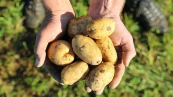 Terraviva Terraviva