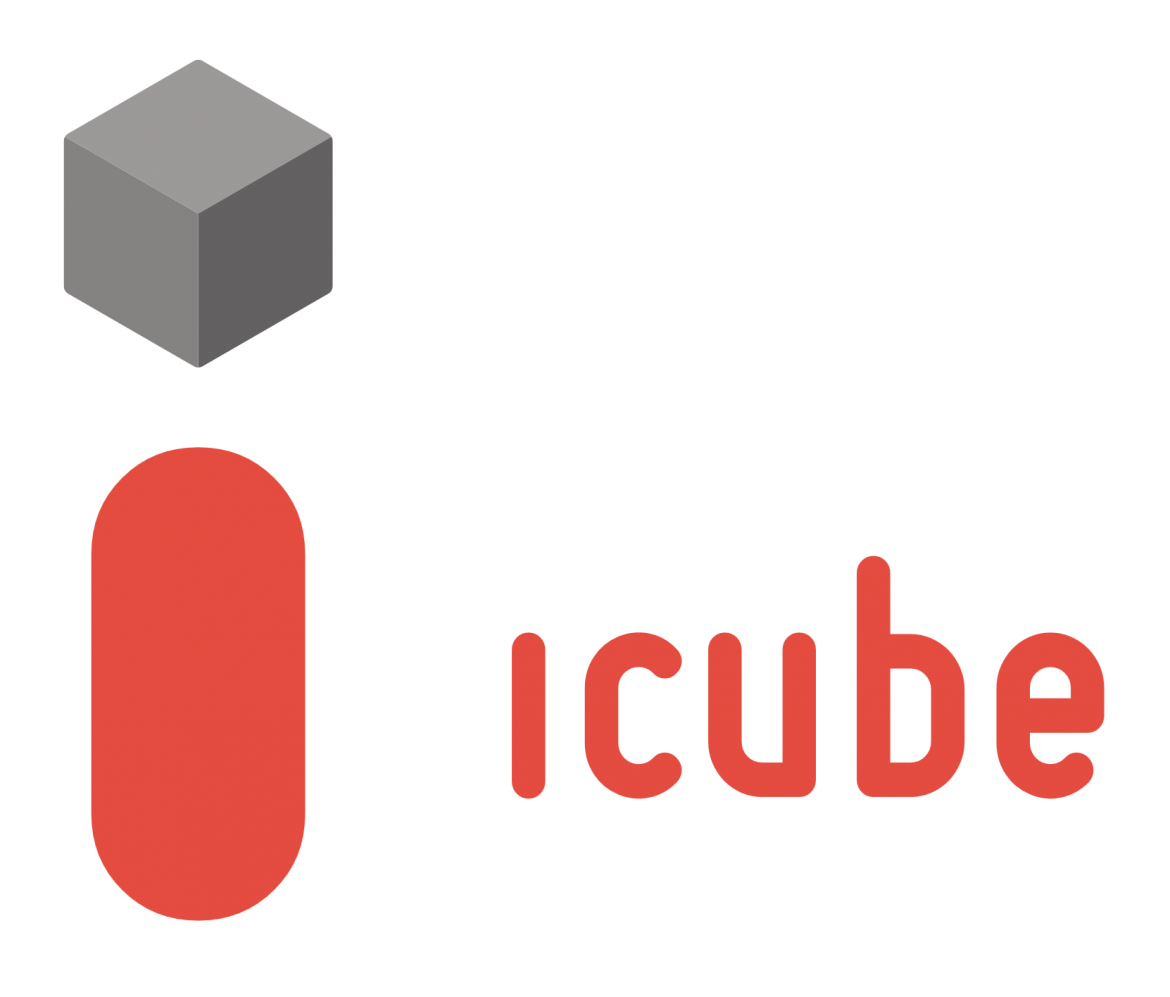 ICube SA ICube SA