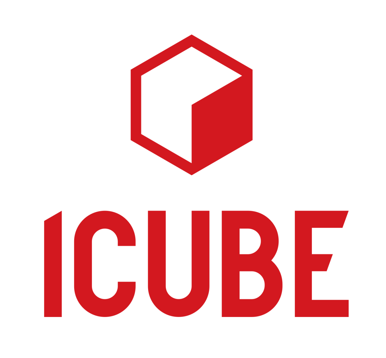 ICUBE SA