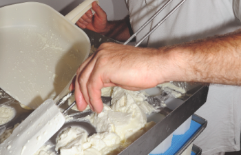Pastourelle Le Véritable Pastourelle Le Véritable