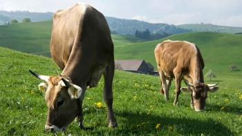 Agroscope Agroscope