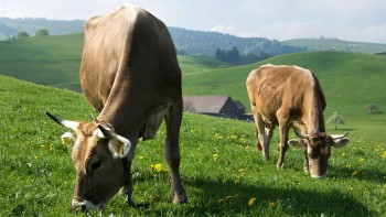 Agroscope Agroscope