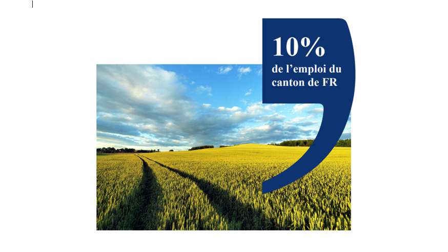 Le Canton de Fribourg, Leader du secteur agroalimentaire