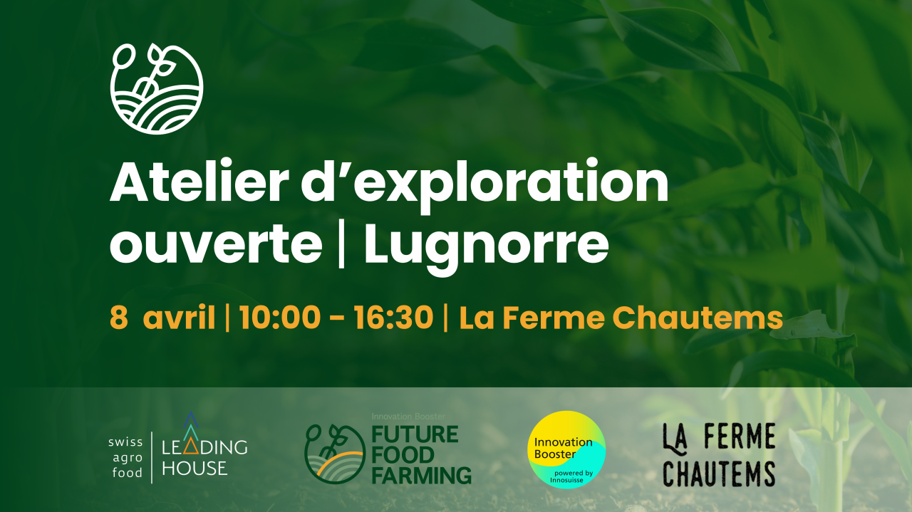 Atelier d'exploration ouverte à Lugnorre