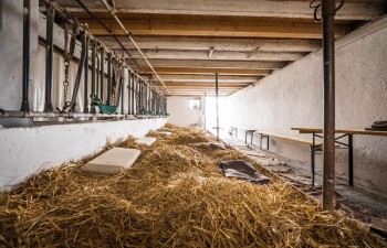 La Magie de la ferme Sàrl La Magie de la ferme Sàrl
