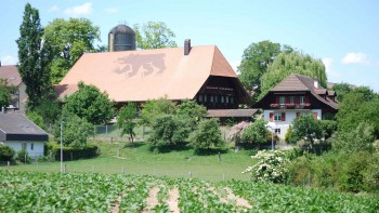 Berner Bauern Verband Berner Bauern Verband