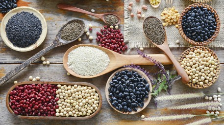 Pflanzliche Proteine in der Ernährung – Herausforderungen und Lösungsansätze