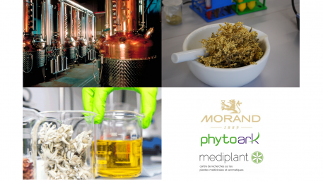 Visite de la Distillerie Morand, PhytoArk et Mediplant