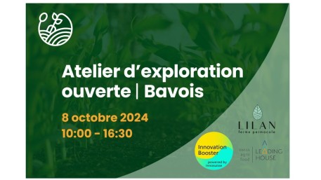 Atelier d’exploration ouverte à Bavois