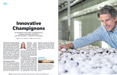 Coopzeitung: innovative champignons Coopzeitung: innovative champignons