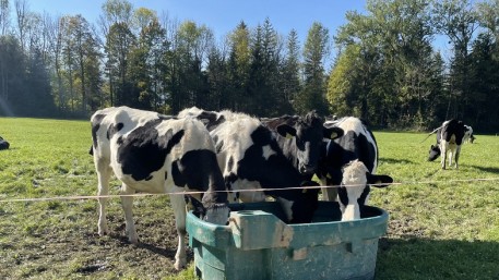 Tierhaltung mit Zukunft