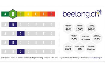 Beelong Beelong