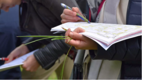 Innovations-Toolkit für Landwirte, Start-ups und KMU mit kurzen Versorgungskreisläufen.