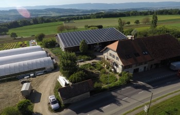 Gfeller Famille maraîcher bio Gfeller Famille maraîcher bio
