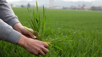 Fenaco société coopérative Fenaco société coopérative