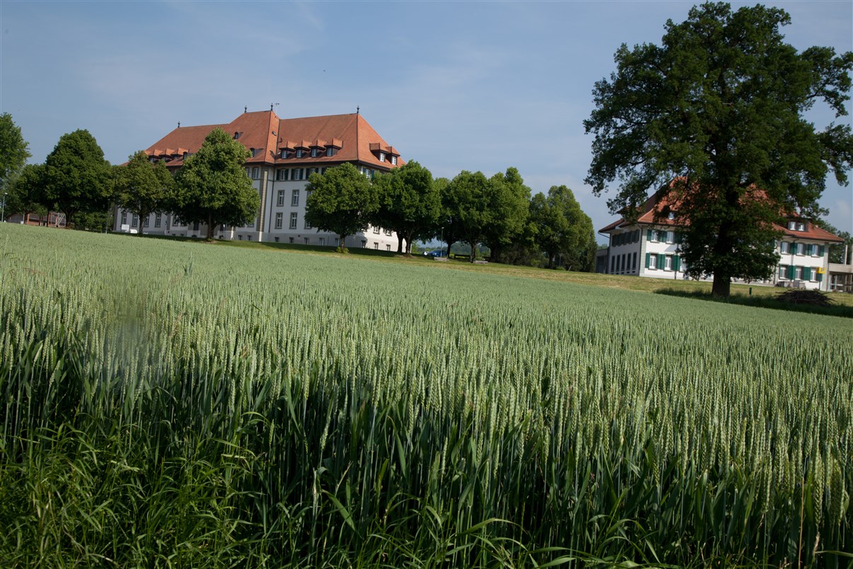 Bâtiment de Grangeneuve