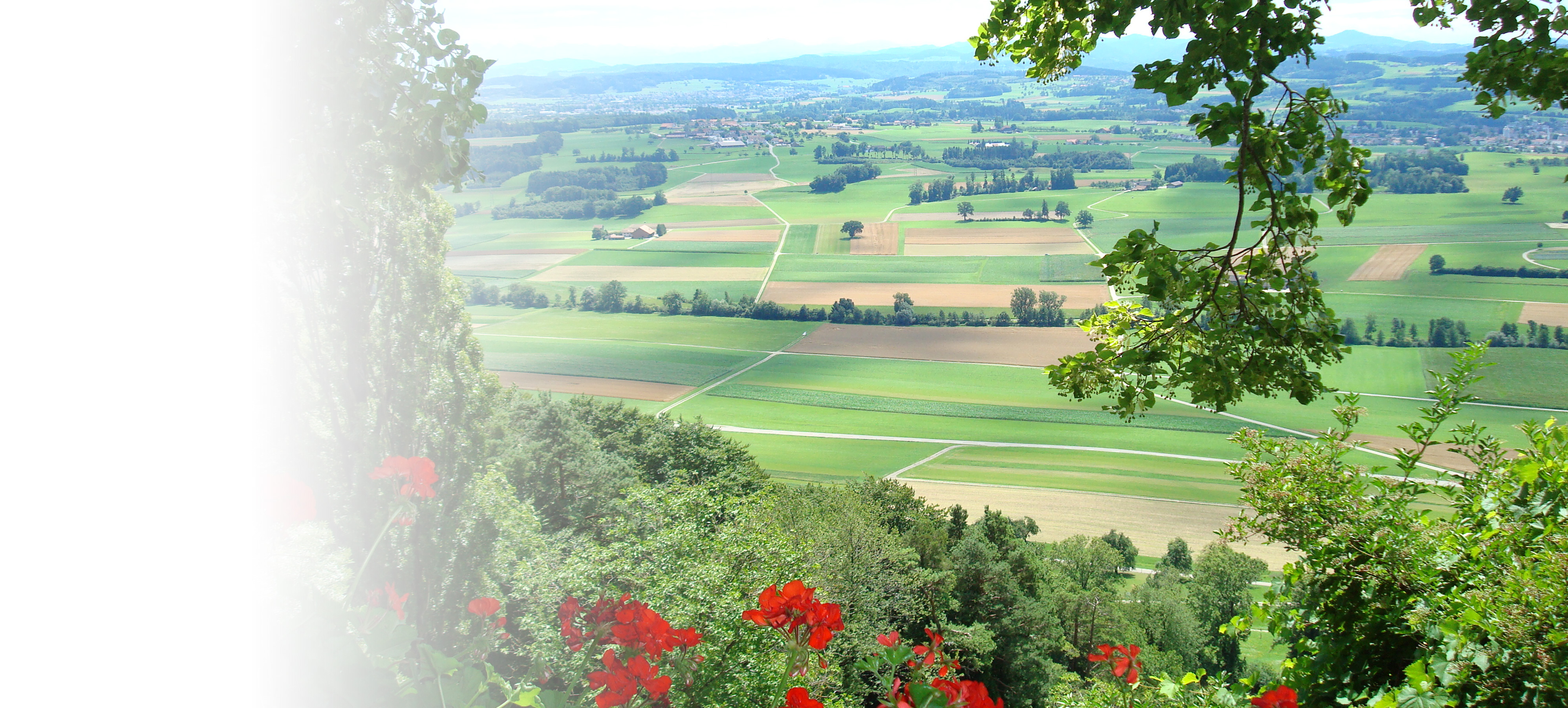 Kompetenznetzwerk Ernährungswirtschaft