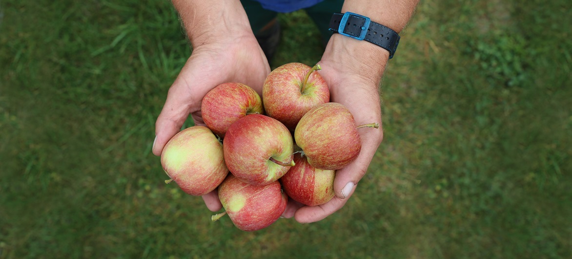 pommes