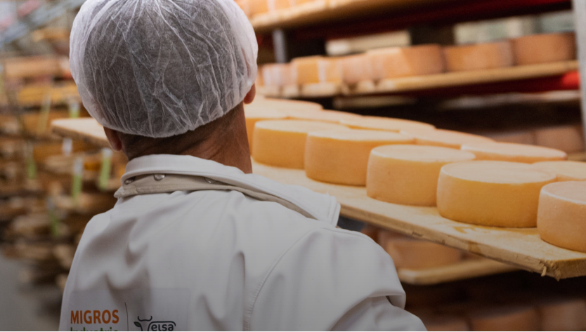 fromager dans une cave à fromage