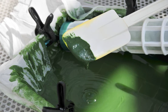 MaSpiruline