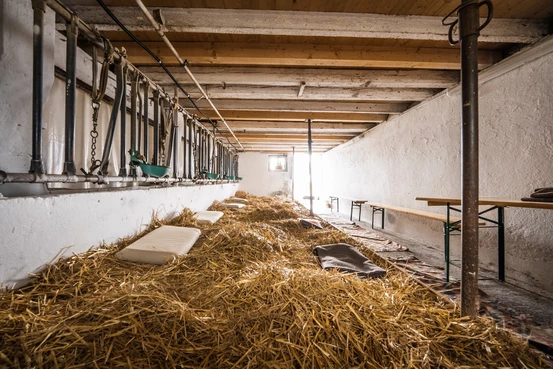 La Magie de la ferme