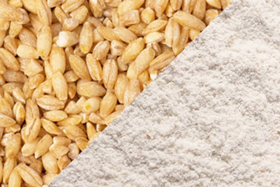 Grain moulu