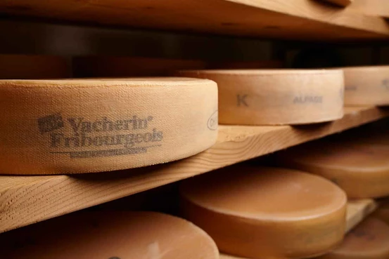 Vacherin fribourgeois