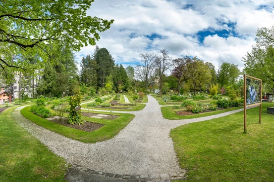 jardin botannique