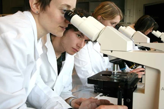 Labo EPFL