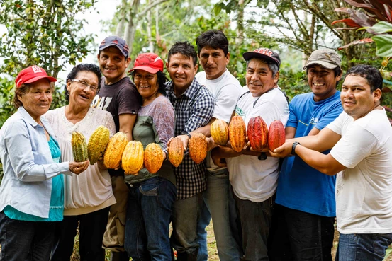 des producteurs de cacao