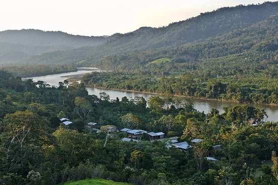camp de cacao