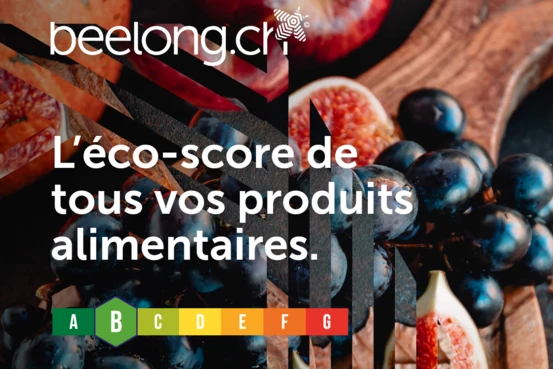 Information sur Beelong